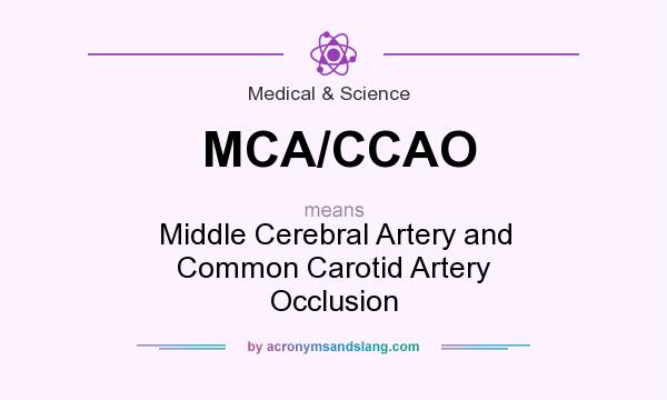 What does MCA/CCAO mean? It stands for Middle Cerebral Artery and Common Carotid Artery Occlusion