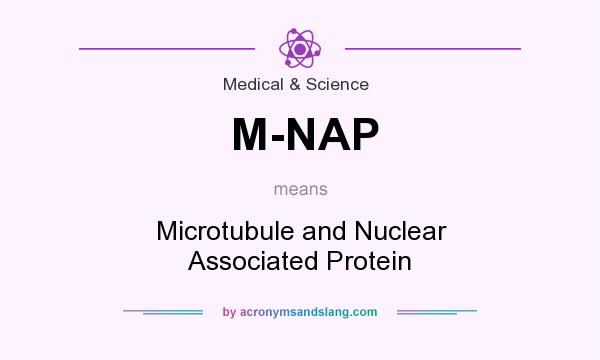 What does M-NAP mean? It stands for Microtubule and Nuclear Associated Protein