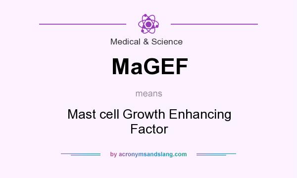 What does MaGEF mean? It stands for Mast cell Growth Enhancing Factor