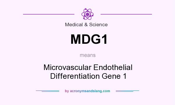 What does MDG1 mean? It stands for Microvascular Endothelial Differentiation Gene 1