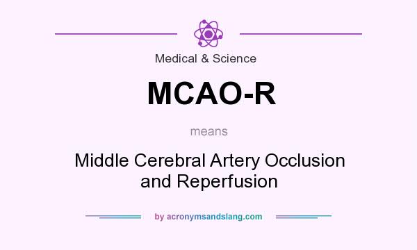 What does MCAO-R mean? It stands for Middle Cerebral Artery Occlusion and Reperfusion