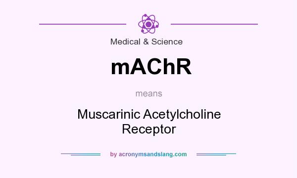What does mAChR mean? It stands for Muscarinic Acetylcholine Receptor
