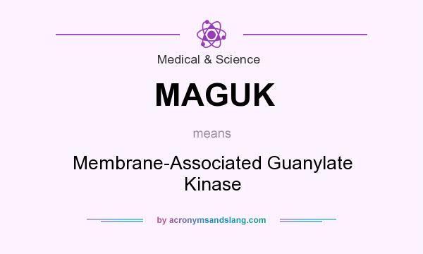 What does MAGUK mean? It stands for Membrane-Associated Guanylate Kinase