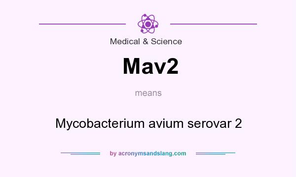 What does Mav2 mean? It stands for Mycobacterium avium serovar 2
