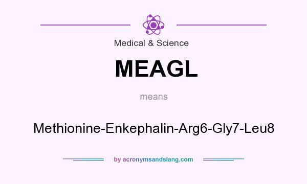 What does MEAGL mean? It stands for Methionine-Enkephalin-Arg6-Gly7-Leu8