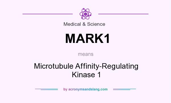 What does MARK1 mean? It stands for Microtubule Affinity-Regulating Kinase 1