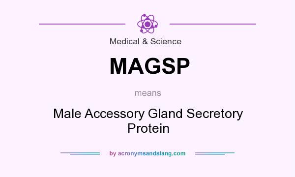 What does MAGSP mean? It stands for Male Accessory Gland Secretory Protein