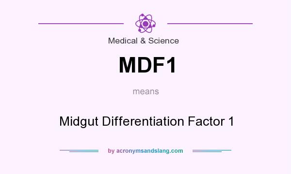 What does MDF1 mean? It stands for Midgut Differentiation Factor 1