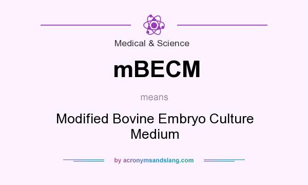 What does mBECM mean? It stands for Modified Bovine Embryo Culture Medium