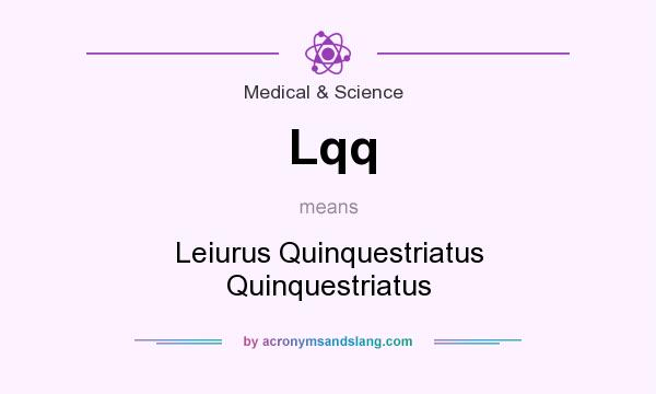What does Lqq mean? It stands for Leiurus Quinquestriatus Quinquestriatus