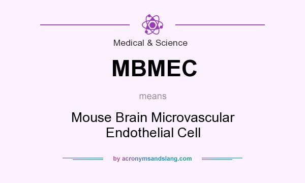 What does MBMEC mean? It stands for Mouse Brain Microvascular Endothelial Cell