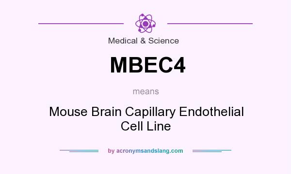 What does MBEC4 mean? It stands for Mouse Brain Capillary Endothelial Cell Line