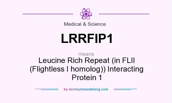 What does LRRFIP1 mean? It stands for Leucine Rich Repeat (in FLII (Flightless I homolog)) Interacting Protein 1