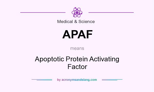 What does APAF mean? It stands for Apoptotic Protein Activating Factor