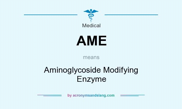 What does AME mean? It stands for Aminoglycoside Modifying Enzyme