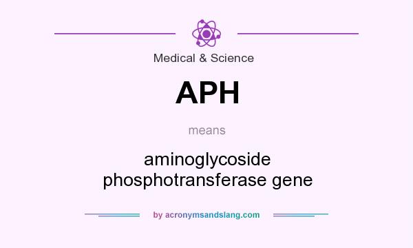 What does APH mean? It stands for aminoglycoside phosphotransferase gene