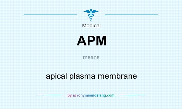 What does APM mean? It stands for apical plasma membrane