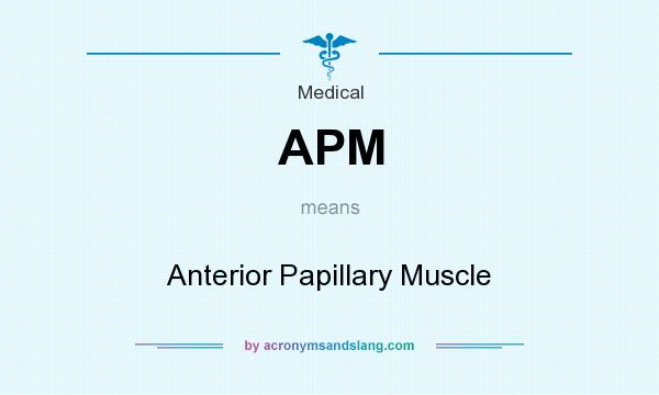 What does APM mean? It stands for Anterior Papillary Muscle