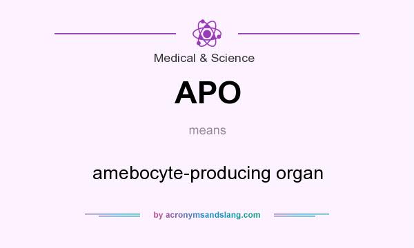 What does APO mean? It stands for amebocyte-producing organ