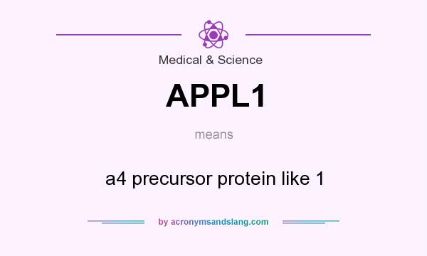 What does APPL1 mean? It stands for a4 precursor protein like 1