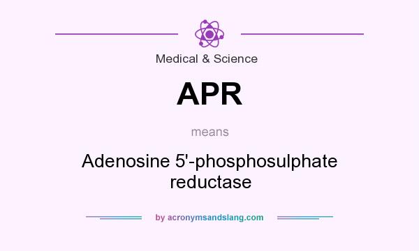 What does APR mean? It stands for Adenosine 5`-phosphosulphate reductase