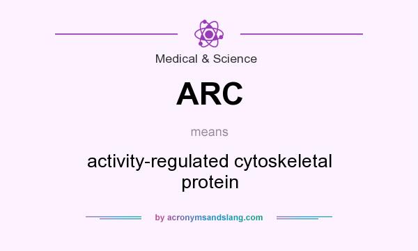 What does ARC mean? It stands for activity-regulated cytoskeletal protein