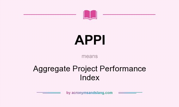 What does APPI mean? It stands for Aggregate Project Performance Index