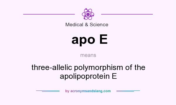 What does apo E mean? It stands for three-allelic polymorphism of the apolipoprotein E
