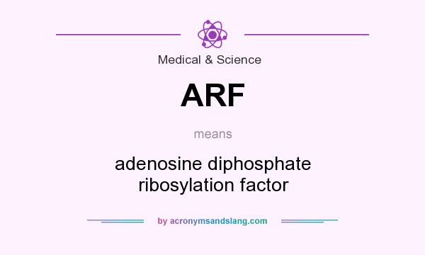 What does ARF mean? It stands for adenosine diphosphate ribosylation factor
