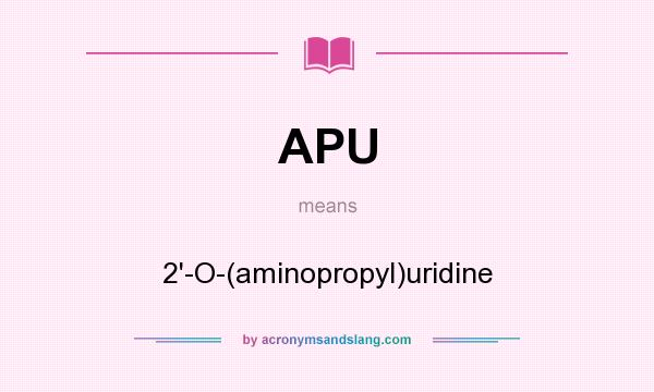 What does APU mean? It stands for 2`-O-(aminopropyl)uridine