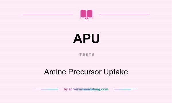 What does APU mean? It stands for Amine Precursor Uptake
