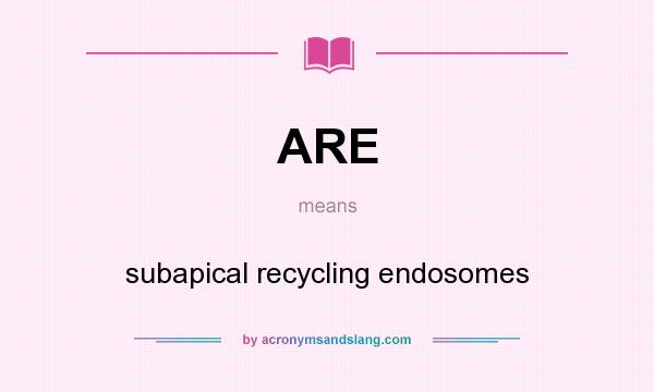 What does ARE mean? It stands for subapical recycling endosomes