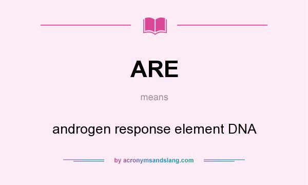What does ARE mean? It stands for androgen response element DNA
