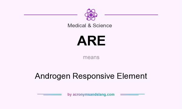 What does ARE mean? It stands for Androgen Responsive Element