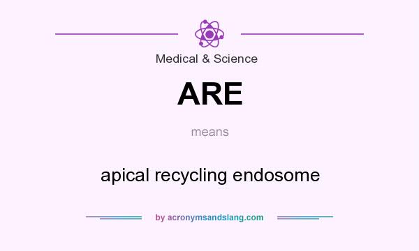 What does ARE mean? It stands for apical recycling endosome
