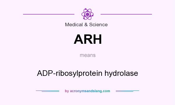 What does ARH mean? It stands for ADP-ribosylprotein hydrolase