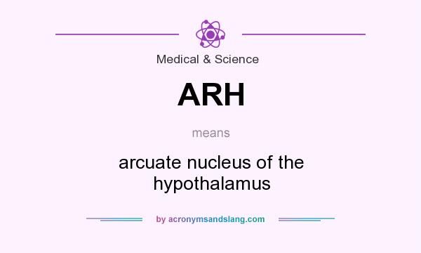 What does ARH mean? It stands for arcuate nucleus of the hypothalamus