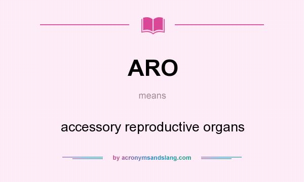 What does ARO mean? It stands for accessory reproductive organs