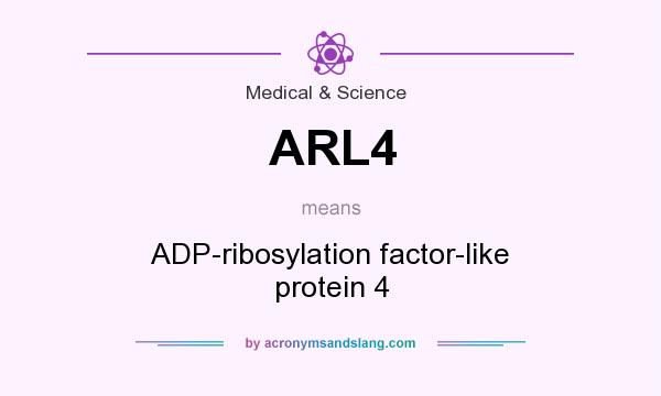 What does ARL4 mean? It stands for ADP-ribosylation factor-like protein 4