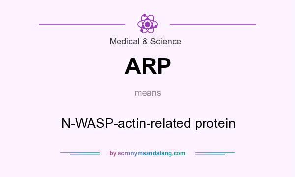 What does ARP mean? It stands for N-WASP-actin-related protein