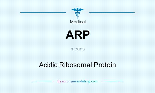 What does ARP mean? It stands for Acidic Ribosomal Protein