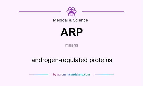 What does ARP mean? It stands for androgen-regulated proteins