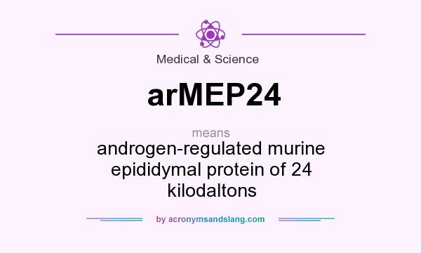 What does arMEP24 mean? It stands for androgen-regulated murine epididymal protein of 24 kilodaltons
