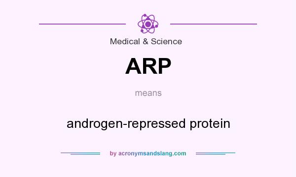 What does ARP mean? It stands for androgen-repressed protein