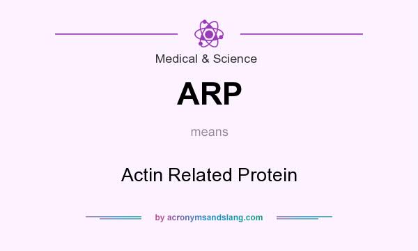 What does ARP mean? It stands for Actin Related Protein