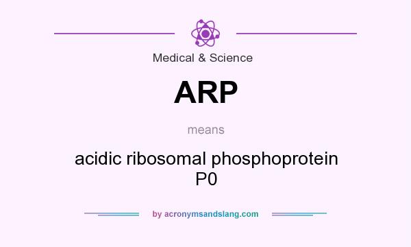 What does ARP mean? It stands for acidic ribosomal phosphoprotein P0
