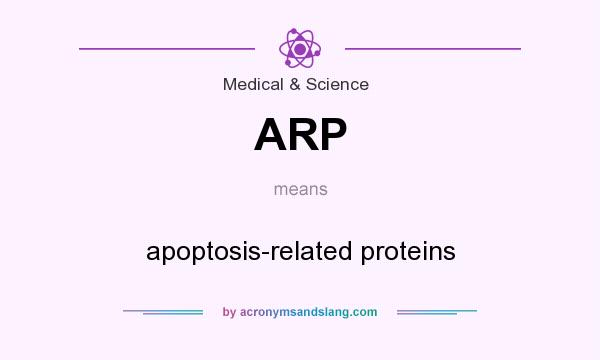 What does ARP mean? It stands for apoptosis-related proteins