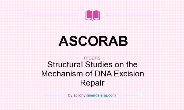 What does ASCORAB mean? It stands for Structural Studies on the Mechanism of DNA Excision Repair