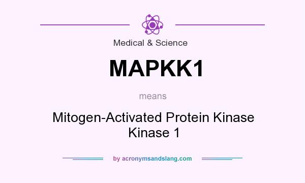 What does MAPKK1 mean? It stands for Mitogen-Activated Protein Kinase Kinase 1
