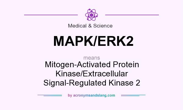 What does MAPK/ERK2 mean? It stands for Mitogen-Activated Protein Kinase/Extracellular Signal-Regulated Kinase 2
